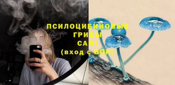 эйфоретик Алексеевка