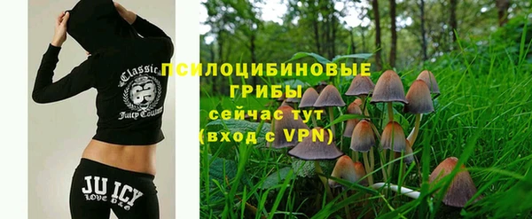 эйфоретик Алексеевка