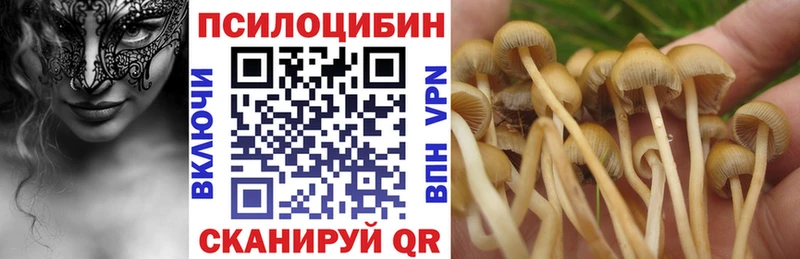 купить   Пучеж  Галлюциногенные грибы прущие грибы 