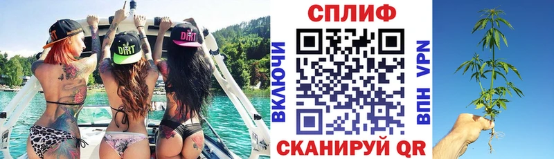 Шишки марихуана сатива  ссылка на мегу ссылки  Пучеж  где найти  